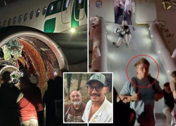 LA-bound family on horror flight reveals gruesome moment plane struck person