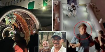 LA-bound family on horror flight reveals gruesome moment plane struck person