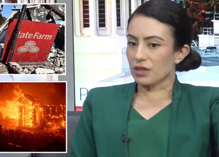 State senator demands California escalate war with State Farm by hitting it where it hurts most