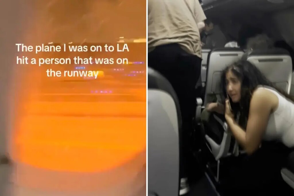 Terrifying videos show Frontier Airlines passengers fleeing smoke-filled cabin after jet strikes person on Denver runway
