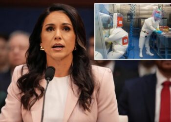 DNI Tulsi Gabbard probes US funding to more than 120 biolabs abroad