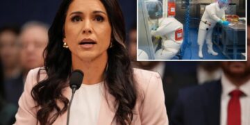 DNI Tulsi Gabbard probes US funding to more than 120 biolabs abroad