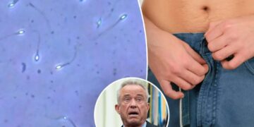 Do teens today really have half as much sperm as men in the ‘70s? What docs say about RFK Jr.’s claims