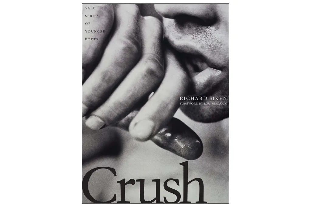 Book cover for 