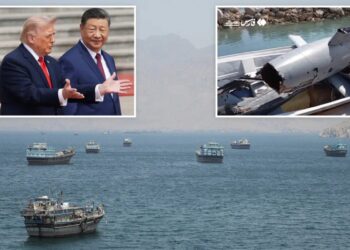 Iran allows Chinese ships to sail through the Strait of Hormuz