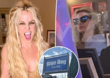 Dinner guest lifts lid on Britney Spears’ erratic ‘outbursts’ at LA restaurant: ‘She was a nuisance’