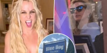 Dinner guest lifts lid on Britney Spears’ erratic ‘outbursts’ at LA restaurant: ‘She was a nuisance’