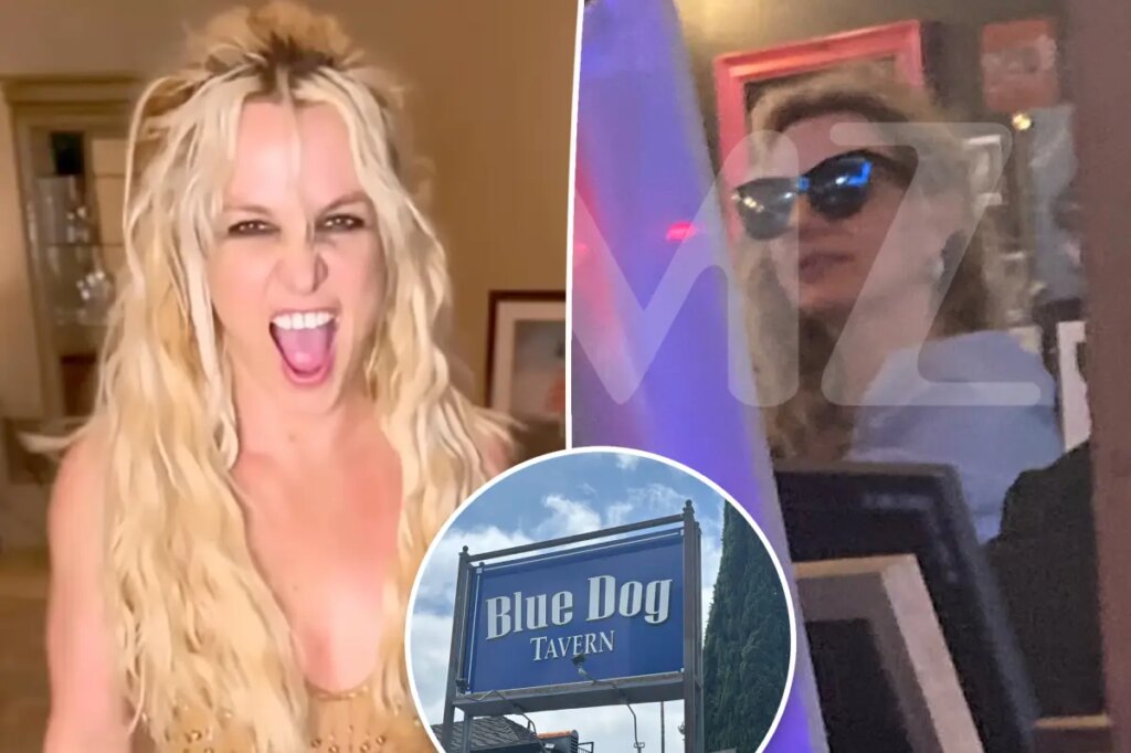 Dinner guest lifts lid on Britney Spears’ erratic ‘outbursts’ at LA restaurant: ‘She was a nuisance’
