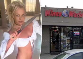 Britney Spears caught on video at liquor store before alleged knife-wielding restaurant antics