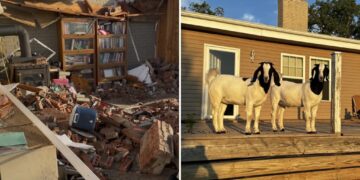 Pet goats save trapped family after killer tornado demolishes their home