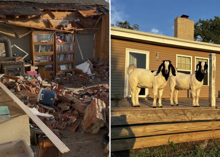 Pet goats save trapped family after killer tornado demolishes their home