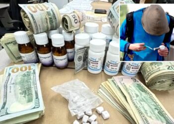 MacArthur park drug crackdown nets more arrests in Fentanyl sting