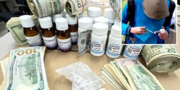 MacArthur park drug crackdown nets more arrests in Fentanyl sting