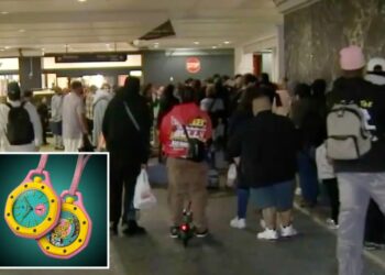 Pocket watch chaos comes to California as long lines and frustration over take viral collab