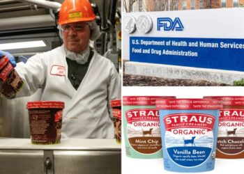 Popular ice cream brand recalls several flavors in 17 states over ‘metal foreign material’