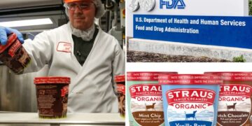 Popular ice cream brand recalls several flavors in 17 states over ‘metal foreign material’