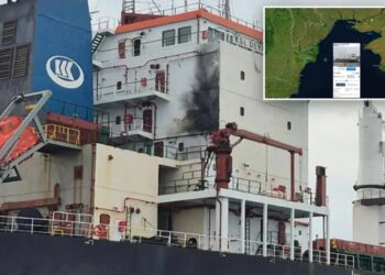 Russian drone strikes Chinese ship, Ukraine says, ahead of Putin’s meeting with Xi