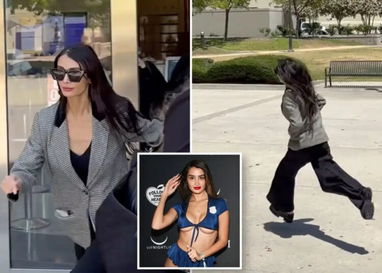 Stephen Cloobeck’s penthouse pet flees courthouse after passport is seized