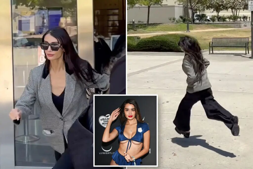 Stephen Cloobeck’s penthouse pet flees courthouse after passport is seized