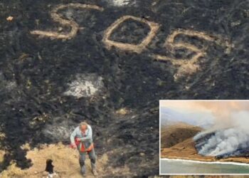 Sailor rescued in the knick of time as massive, record-breaking wildfire engulfs California island