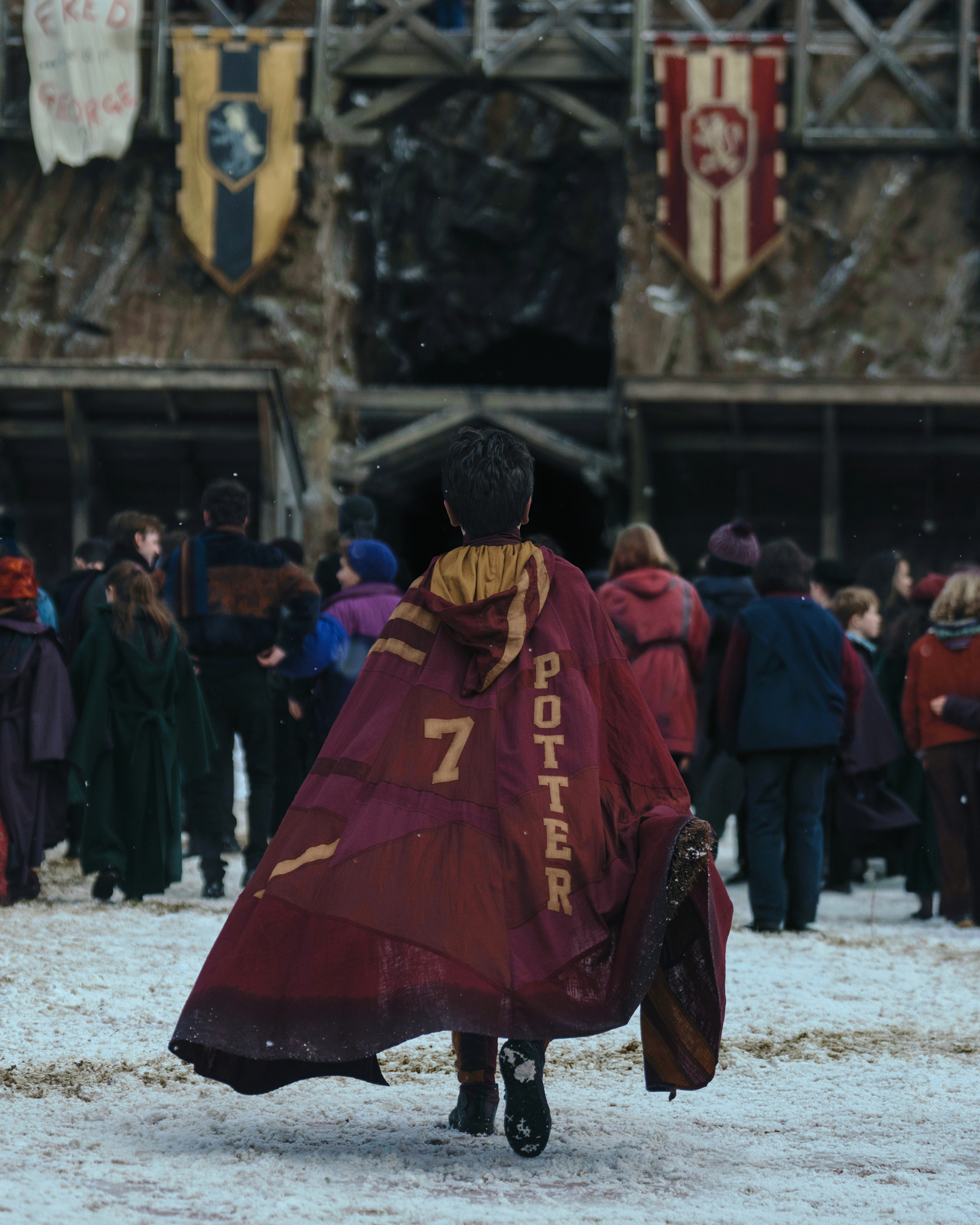 Harry Potter show