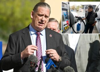 Senate Dems says ‘hell no’ to gas tax relief for Californians, Tony Strickland says