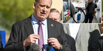 Senate Dems says ‘hell no’ to gas tax relief for Californians, Tony Strickland says