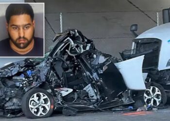 Illegal immigrant truck driver from India arrested in deadly California hit-and-run after Biden release