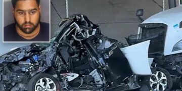 Illegal immigrant truck driver from India arrested in deadly California hit-and-run after Biden release