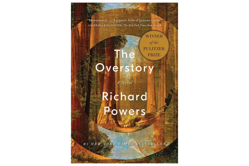 Book cover for 