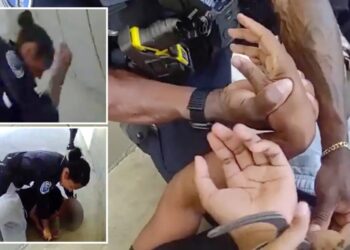 Wild moment Bay Area cop caught on camera wailing on student at high school