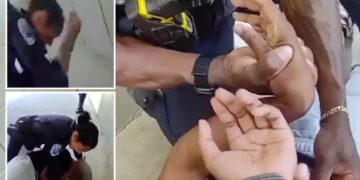 Wild moment Bay Area cop caught on camera wailing on student at high school
