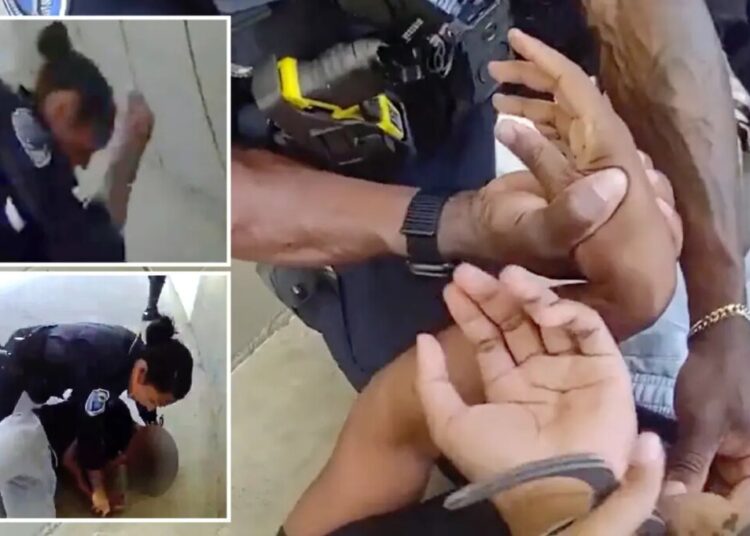 Wild moment Bay Area cop caught on camera wailing on student at high school