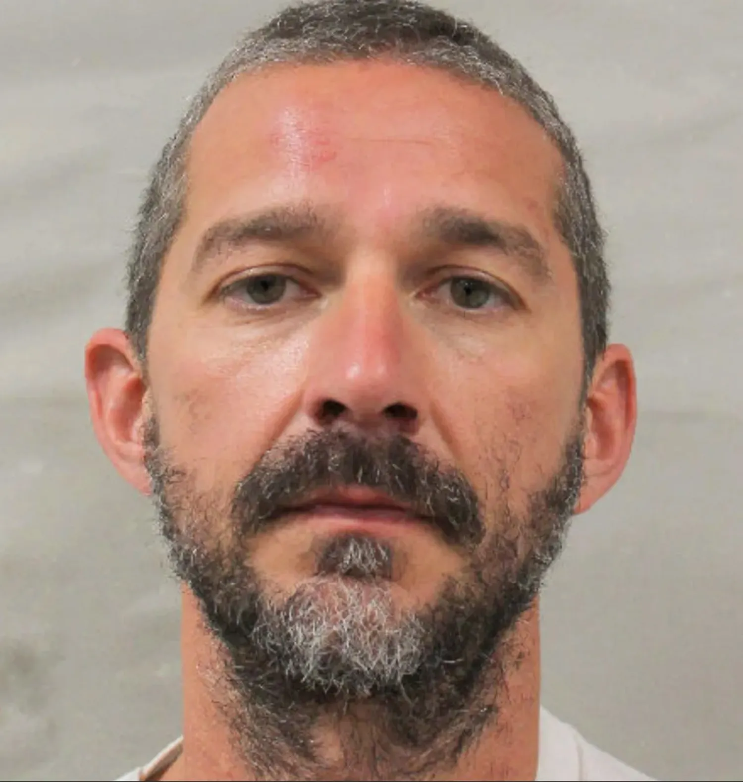 Mugshot of actor Shia LaBeouf looking directly into the camera.