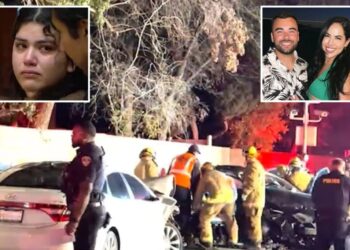 Accused California DUI driver’s stunning six-word reply to cops after horrific crash killed couple