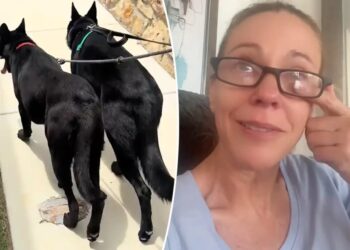 Kate Gosselin breaks down over ‘strain’ of adopting rescue dog in tearful TikTok