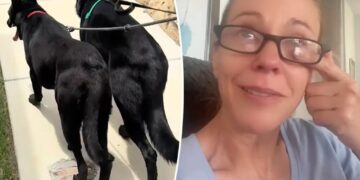 Kate Gosselin breaks down over ‘strain’ of adopting rescue dog in tearful TikTok