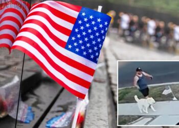 Outrage after man caught kicking American flag on Memorial Day while walking his dog in Orange County