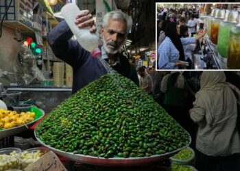 Iranians warned to conserve water as US sanctions and decades of mismanagement threaten total collapse