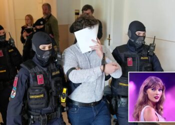 Suspect in Taylor Swift Vienna concert attack plot convicted and sentenced to 15 years
