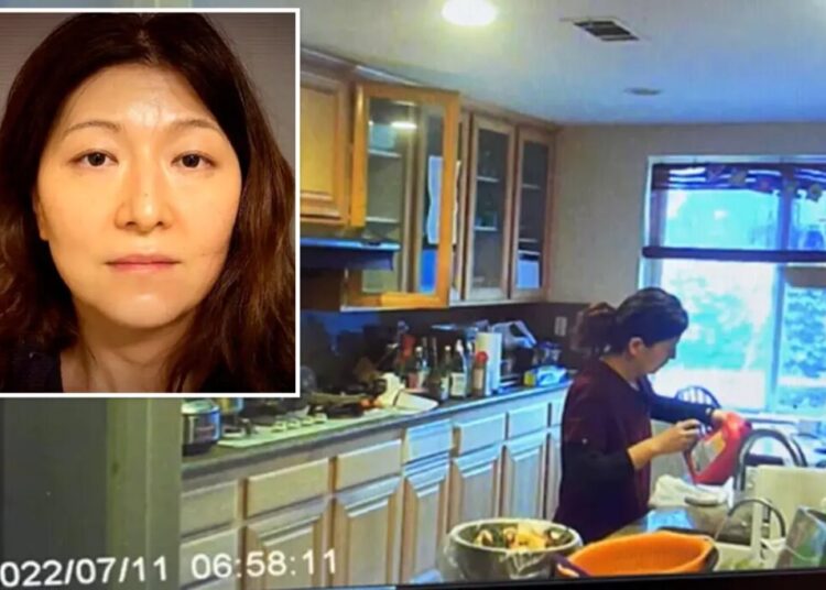 Stunning twist in case of doctor accused of poisoning husband with Drano
