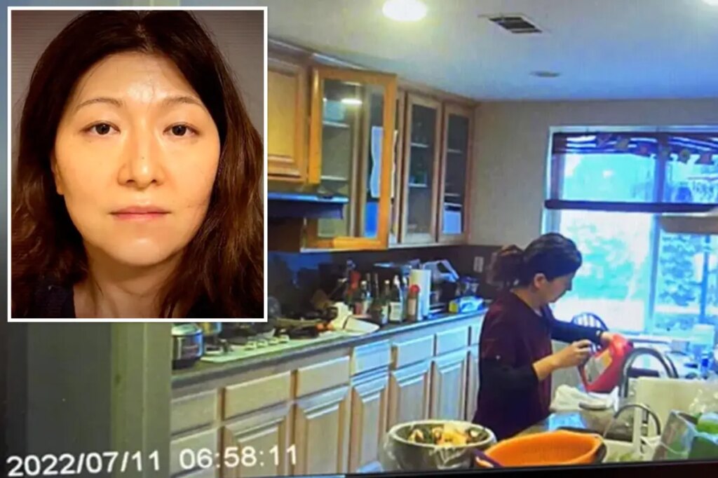 Stunning twist in case of doctor accused of poisoning husband with Drano