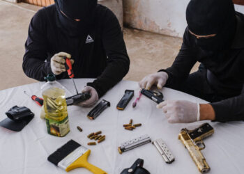 How a Drug Cartel Made a Mexican State Its Tool