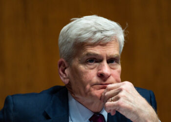 A ‘Man With No Country,’ Cassidy Fights for Political Future