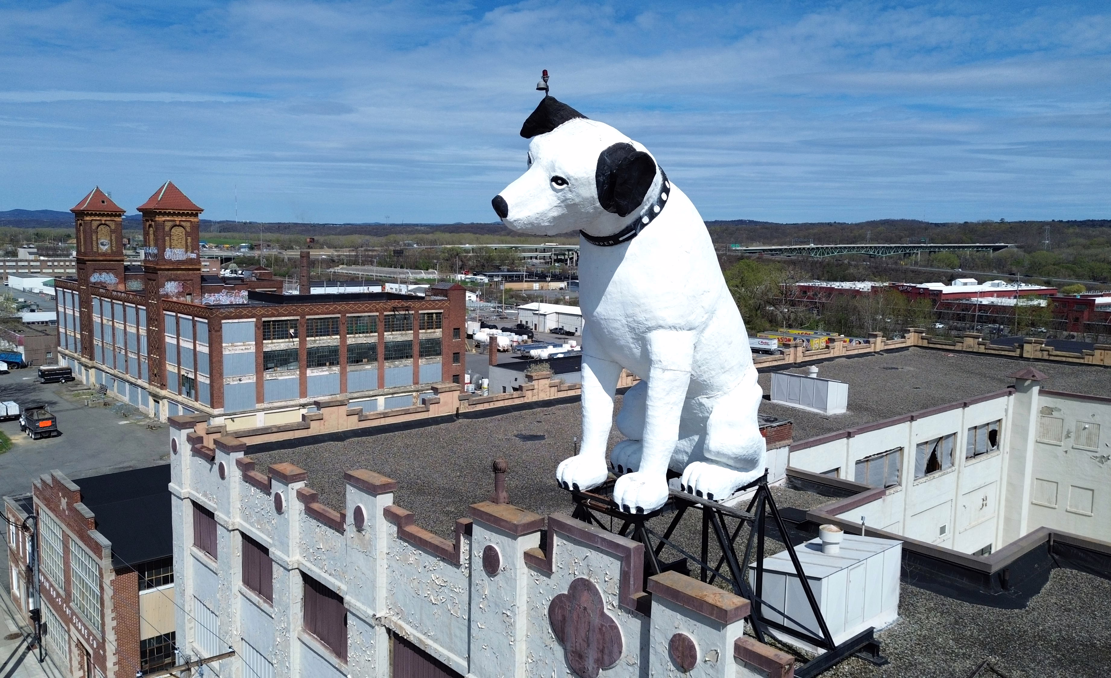 A giant statue of a dog sits atop a warehouse building.