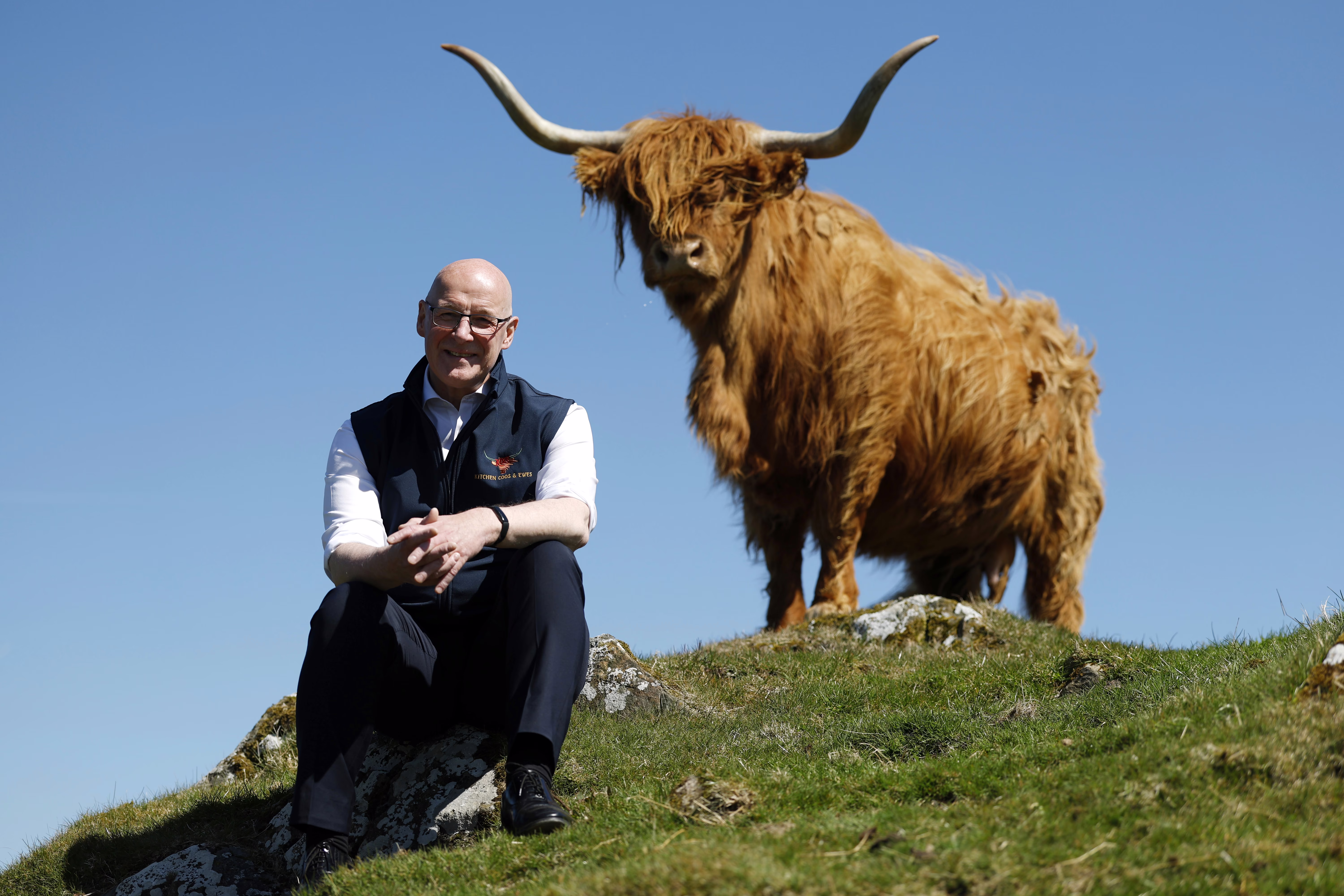 A politician poses, sitting on a hillside beneath a very shaggy highland cow.