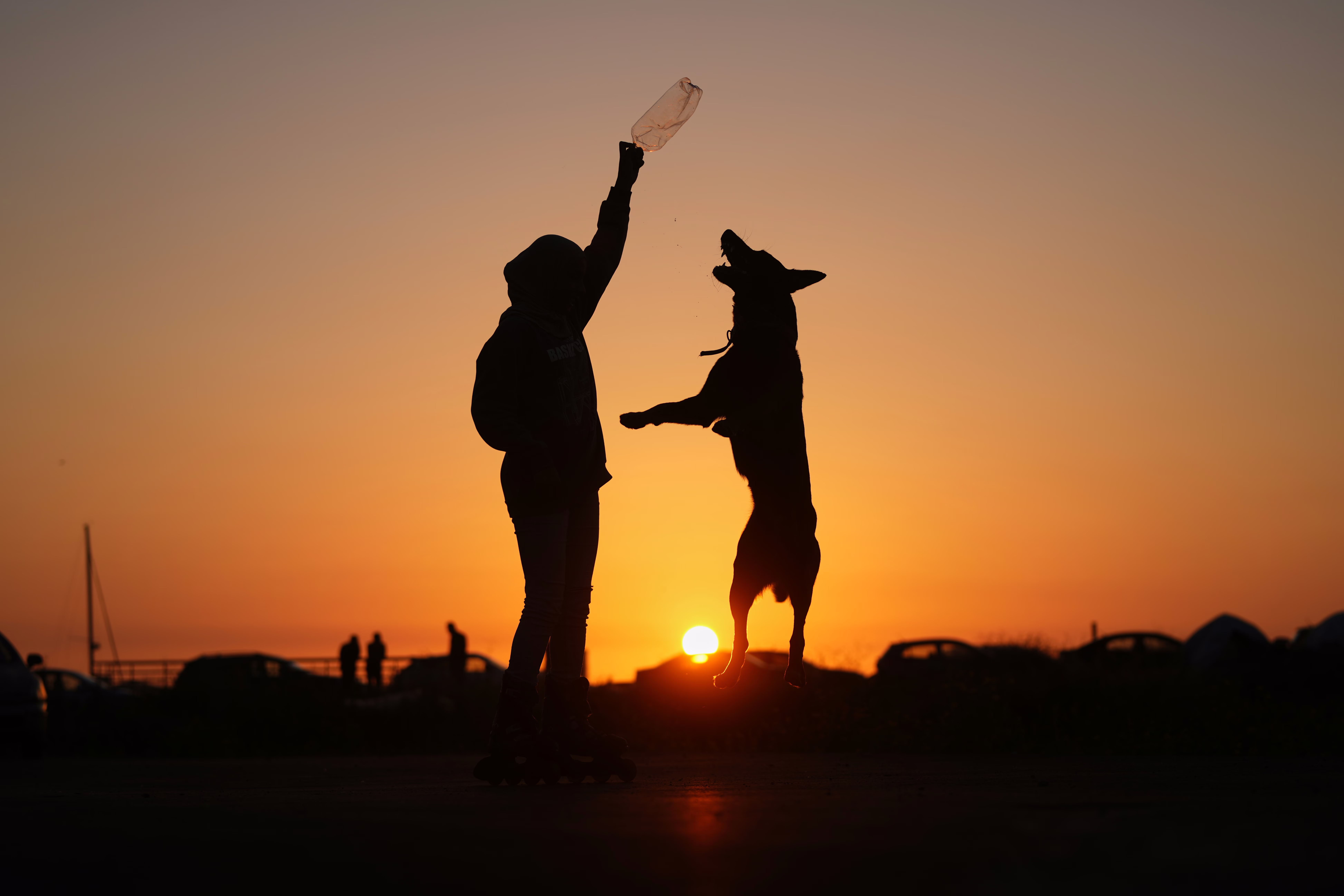 A boy holds a plastic bottle up, playing with a jumping dog at sunset.