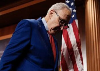 ‘Butt out’: Dem insiders livid as they blame Chuck Schumer’s meddling for primary shock