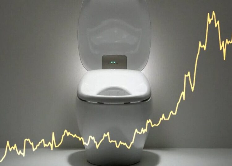 Toilet Maker Spikes in Value as It Flushes Money Into AI