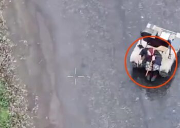 Wild Video Shows Ukrainian Troops Evacuate Babushka With a Military Robot